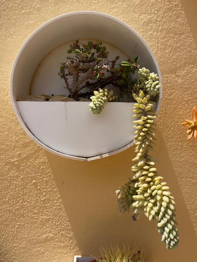 Eco House Golfinhos Apartment Corralejo Exterior foto